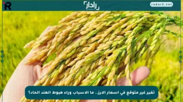تغير غير متوقع في أسعار الأرز.. ما الأسباب وراء هبوط الهند الحاد؟
